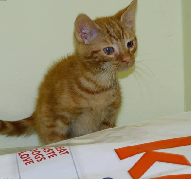 Nm23Z77